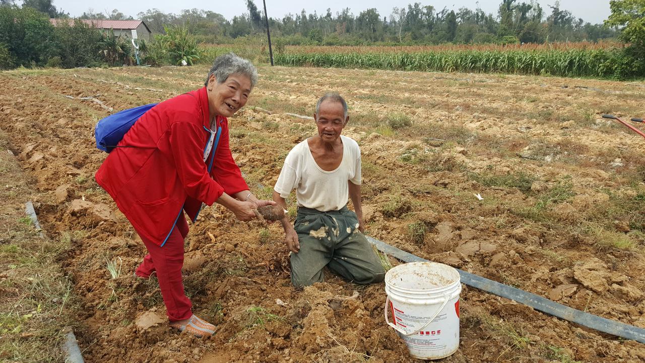 Qg Life 城中館 寵物親子釣魚人民宿 Цзіньчен Екстер'єр фото