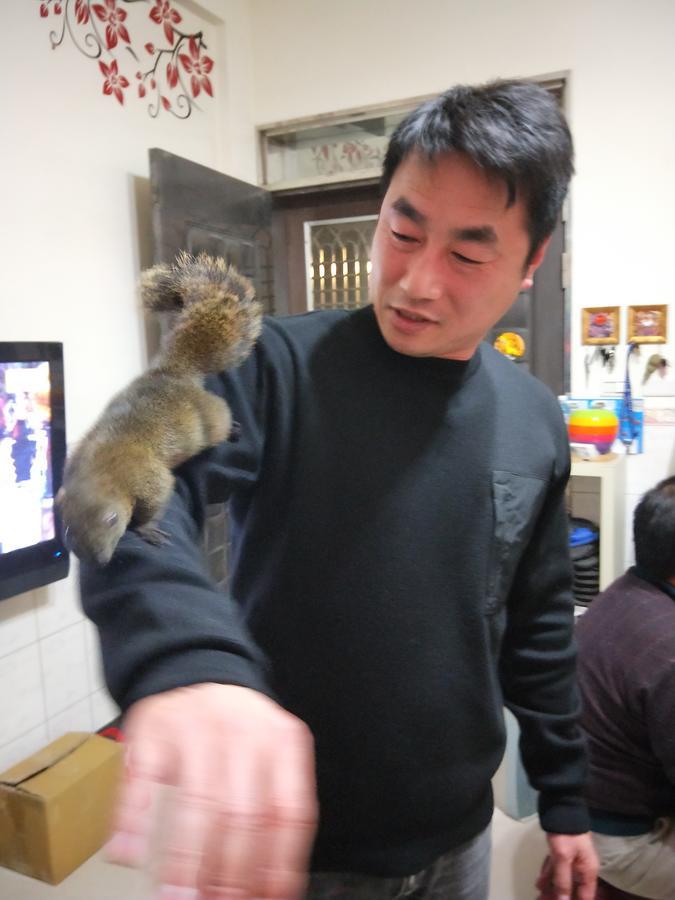 Qg Life 城中館 寵物親子釣魚人民宿 Цзіньчен Екстер'єр фото